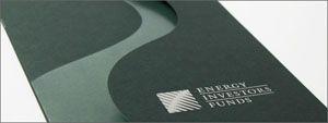 EIF annual meeting invite with die-cut and foil embossing